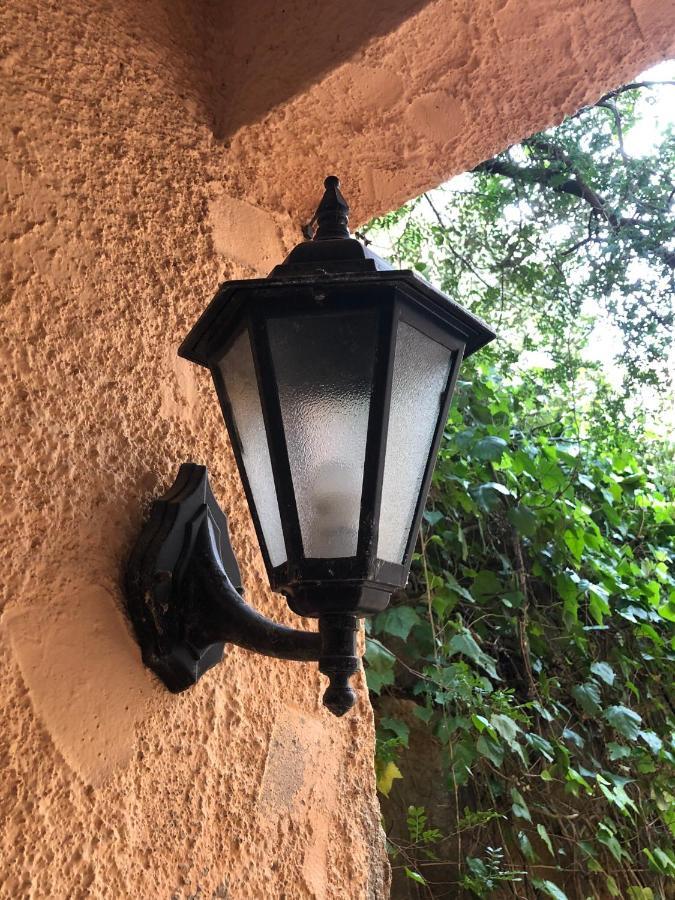 Hartmut Friedrich Apartment Puerto de Sóller エクステリア 写真